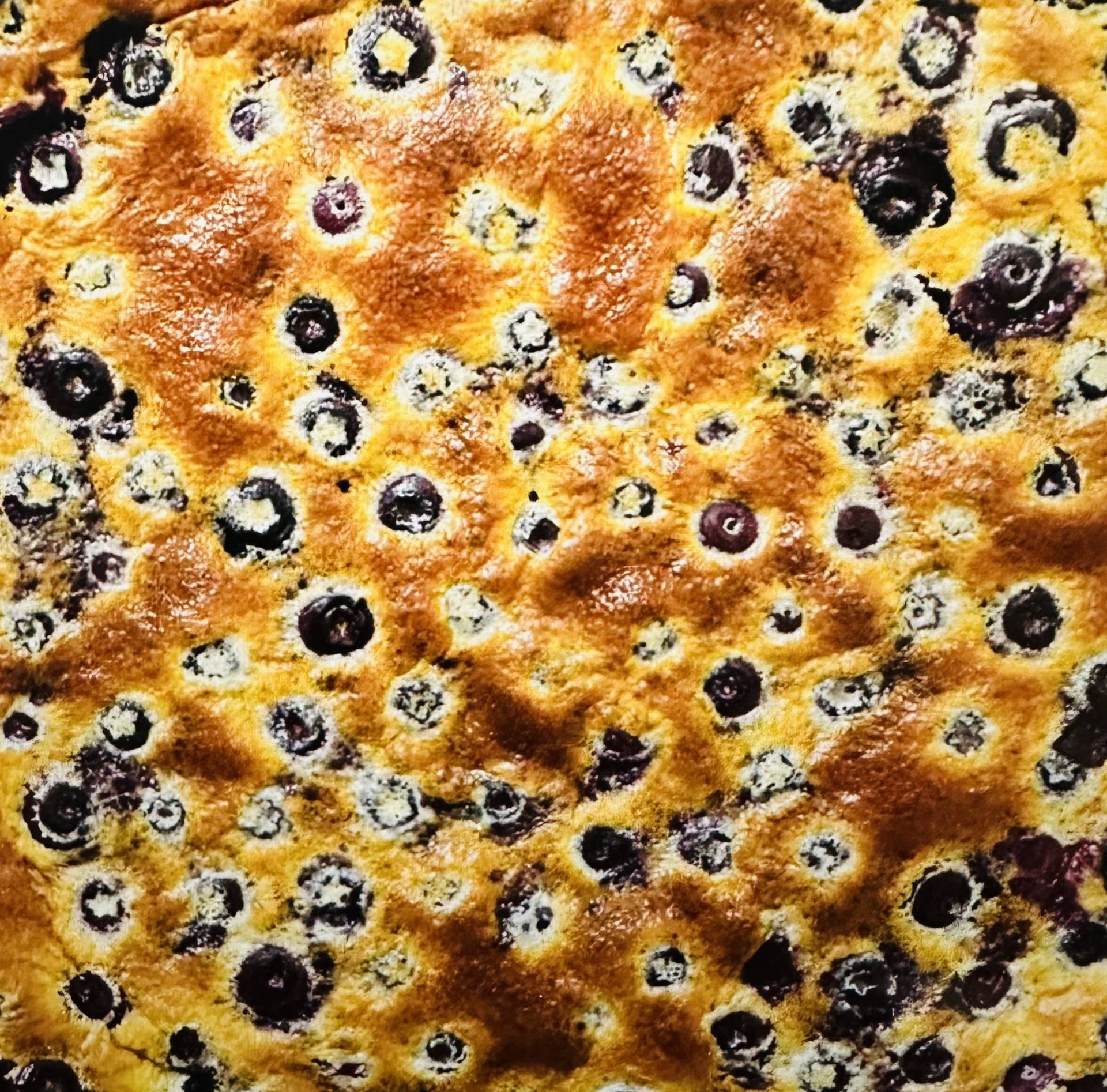 Blueberry Clafoutis